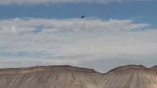 Blue Angels Oct 14th 2023 Grand Junction Colorado