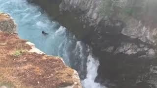 Huka Falls Dr Bubbles Swims