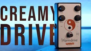 Warm Audio WARM DRIVE Demo  Creamy Dumble-Style Tones in a Box