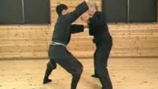 Koto Ryu Koppojutsu - Hatsumi Sensei - Bujinkan Dojo  Ninjutsu Ninja