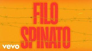 Gianna Nannini - Filo spinato Official Lyric Video