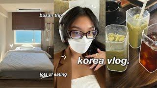 KOREA VLOG ️ cute cafes train to busan what i eat in korea airbnb tour and girls trip