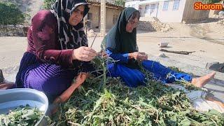 Magic of mountain plants amazing food from the hands of mother Shorom