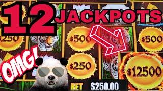 BIGGEST WIN OF MY LIFE THIS IS INSANE PANDA MAGIC IS ON FIRE UP TO $250 SPINS