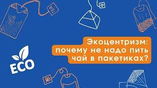 Почему не надо пить чай в пакетиках