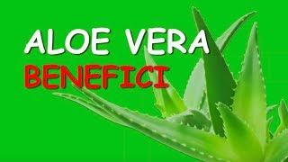 Aloe Vera Da Bere Benefici e come utilizzarla