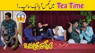 Latest Tea Time  Faisal Ramay told Amazing Facts about Animals  Sajjad Jani Official