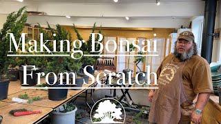 Creating Bonsai From Nursery Stock - Greenwood Bonsai Studio