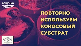 Повторно используем кокосовый субстрат  озвучка Dzagi