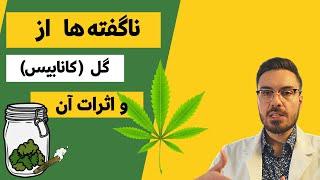 کانابیس،علف،ماری جوانا،گل هر انچه که باید بدانید-قسمت اول