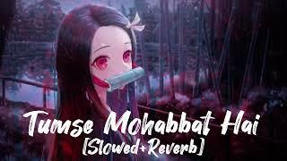 Tumse Mohabbat Hai Slowed And Reverb  Aesthetic Lyrics Lofi