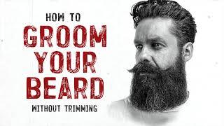 HOW TO GROOM YOUR BEARD WITHOUT TRIMMING IT
