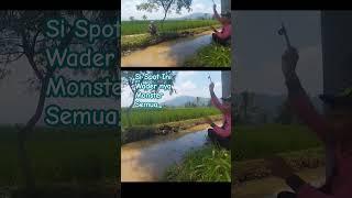 Di Spot ini Wader nya Monster Semua #mancingdisungai #mancing #wader