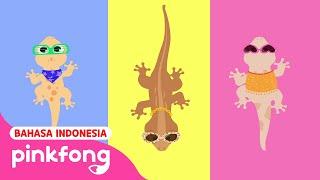 Cicak cicak di dinding  Lagu Anak  Baby Shark Pinkfong Indonesia