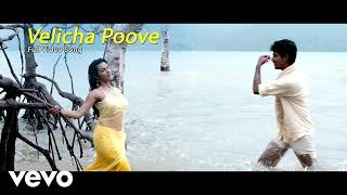 Ethir Neechal - Velicha Poove Video  Sivakarthikeyan Priya