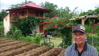 Hidup Di Kebun  Memulai Kehidupan Baru Building Life Garden