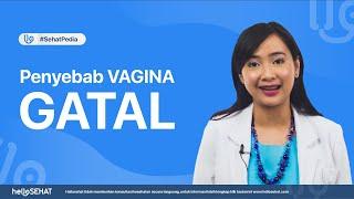 Penyebab Vagina Gatal