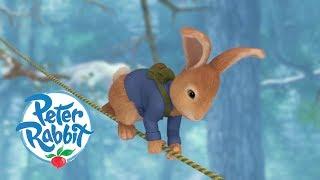 Peter Rabbit - Saving Cottontail  Cartoons for Kids