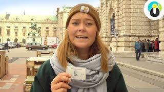 STÄDTETRIP WIEN - die besten TIPPS & SEHENSWÜRDIGKEITEN  Lari auf Safari