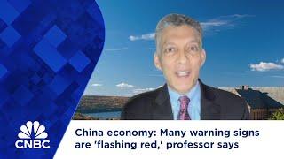 China economy Many warning signs are flashing red professor says