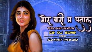 Mor Bari Ma Patal Tura Pake Hawe Na __Dj Amit Pky 2.0 __Cg New Dj Rmx __Mogra Vishkarma __Bass Mix