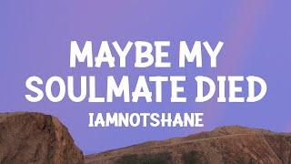 iamnotshane - Maybe My Soulmate Died Lyrics