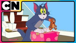 Tom & Jerry   Tom’s Craziest Traps for Jerry  #compilation  #catandmouse  @cnindia