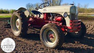 Ford 8N Tractor and Implements  Building A Homestead In 7 Days