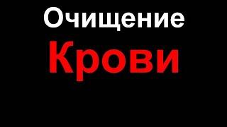 Как почистить кровь в домашних условиях народными средствами