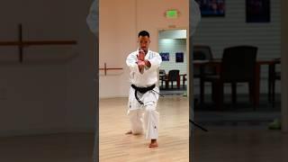 KARATE HADOUKEN ️  Shotokan Kata Unsu 