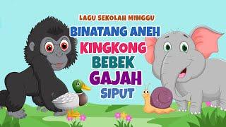 Kingkong - Bebek - Gajah - Siput Binatang Aneh