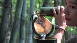 Survive in the forest - Find drinking water filtered from bamboo trees   Run My Life