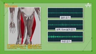 보폭 넓게 VS 뒤로 걷기 관절에 가장 좋은 걷기 방법은?  채널A 건강 스페셜 9 회