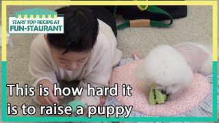 This is how hard it is to raise a puppy Stars Top Recipe at Fun-Staurant  KBS WORLD TV 210216