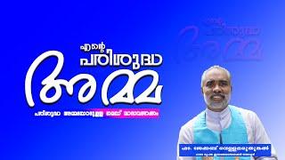 നിന്റെ തകർച്ചയിൽ .....  എന്റെ പരിശുദ്ധ അമ്മ  മെയ് മാസവണക്കം