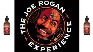 Joe Rogan Talking About Life Cykel with Rashad Evans