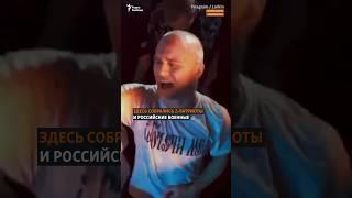 Празднуют смерть Навального #Россия #ПатриотыПутина