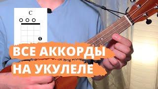 Все основные аккорды на укулеле