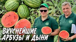 Сладкие порционные арбузы вкусная ароматная зелень и нежные салаты. Семинар Семко. Финал. Часть 5