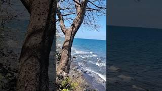 Birunya laut cantik indah di Bali  beautiful beach #bali #beach #pantai #amazing