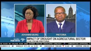 The impact of drought in the agricultural sector Wandile Sihlobo