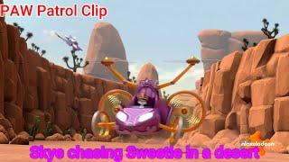 PAW Patrol Clip  Skye chasing Sweetie in a desert