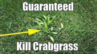 Safely Kill Crabgrass in Bermuda Lawn