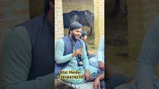 Aqal Tay Ishq Bilal HaiderPunjabi Arifana Kalam Bilal Haider Aqal Akhdi rakhni nazar nivin