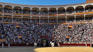 SAN ISIDRO 2024 -14° de feria  Paseíllo de Sebastián Castella Daniel Luque y Christian Parejo