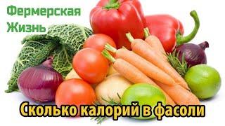 Сколько калорий содержится в фасоли  Полезные свойства продукта