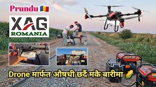 Romania   Drone मार्फत औषधी छर्दै मकै बारीमा   रोमानिया सिँचाई प्रणाली 