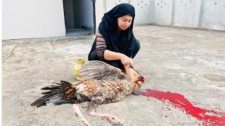 Special Iftar Program  How To Slaughter A Big Desi Murgha