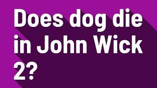 Does dog die in John Wick 2?