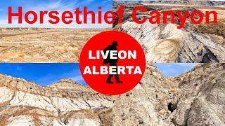 WHAT PLANET AM I ON Hiking Horsethief Canyon in the Canadian Badlands #hiking